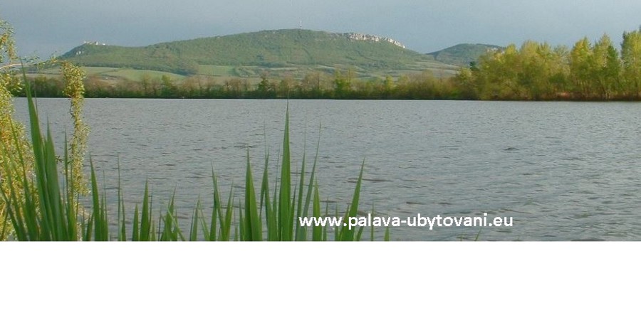 Pálava